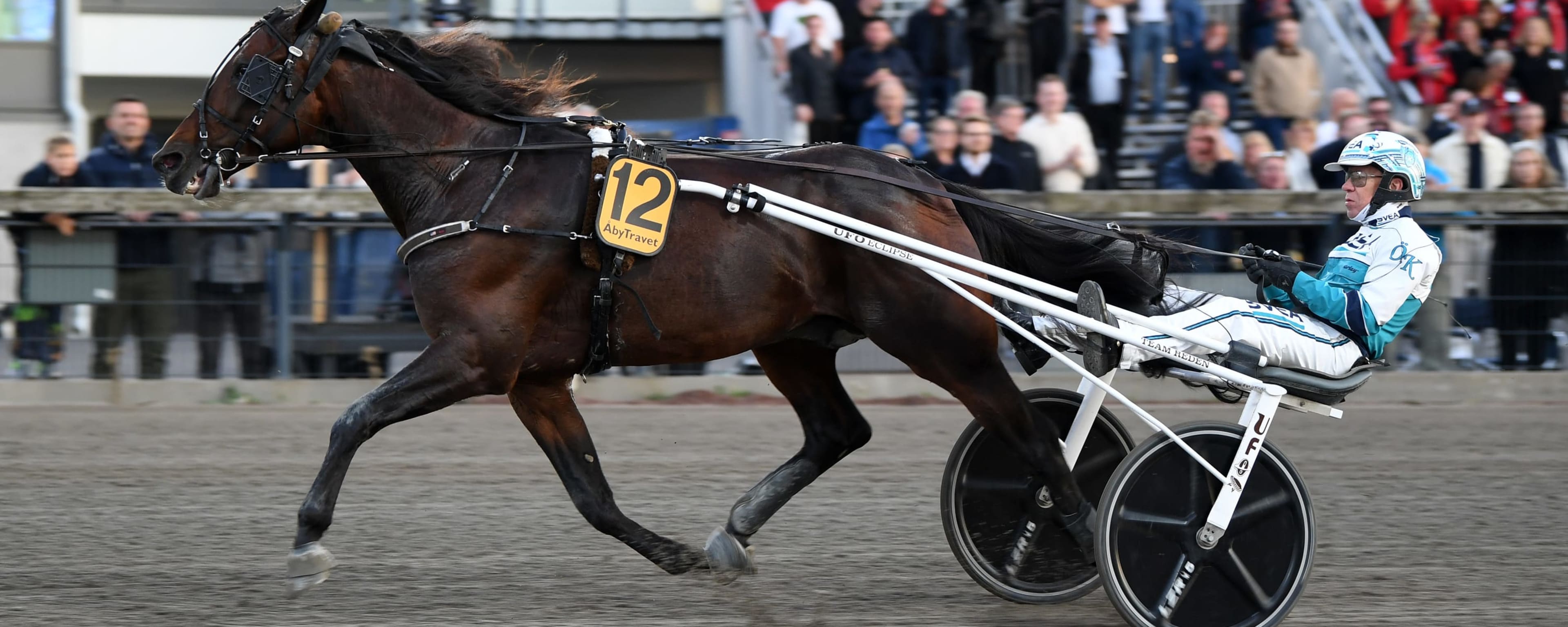 Foto: TR BILD
