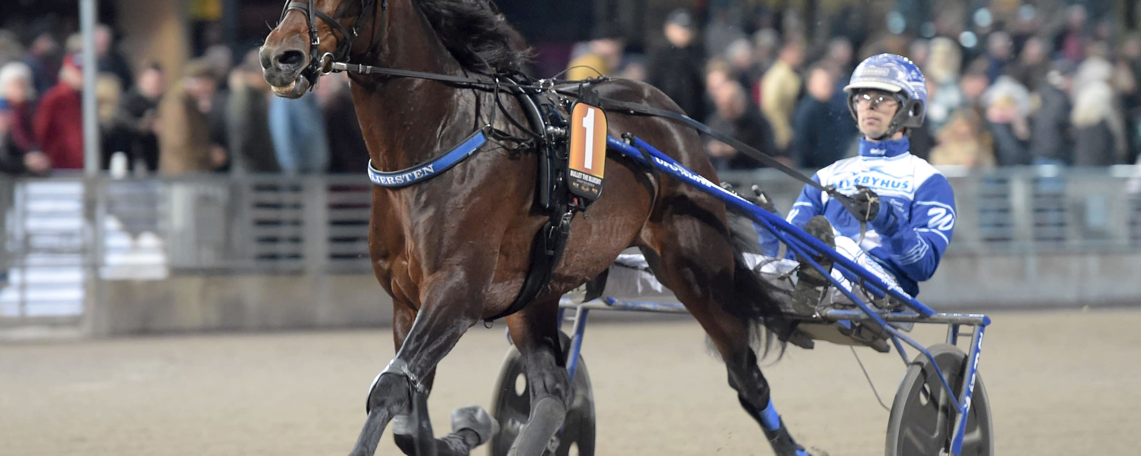 Foto: LARS JAKOBSSON / TR BILD