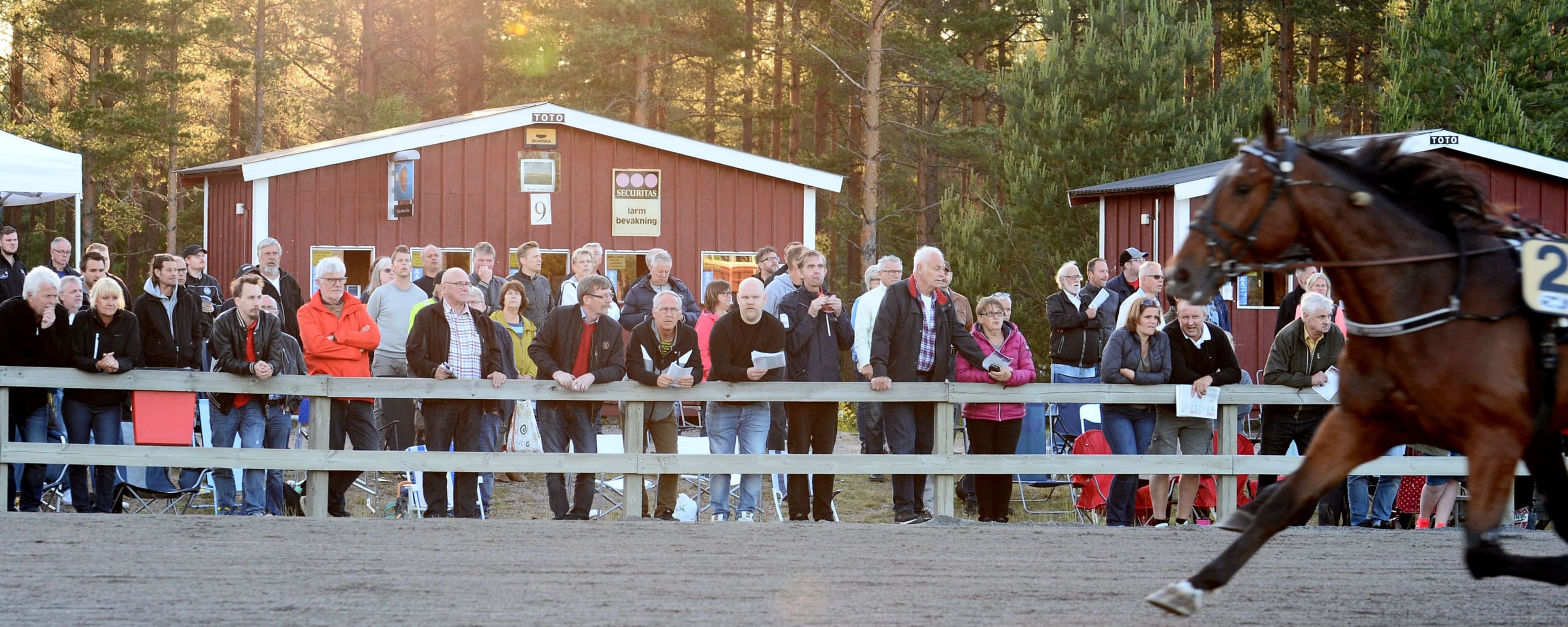 Foto: MALIN ALBINSSON / TR BILD