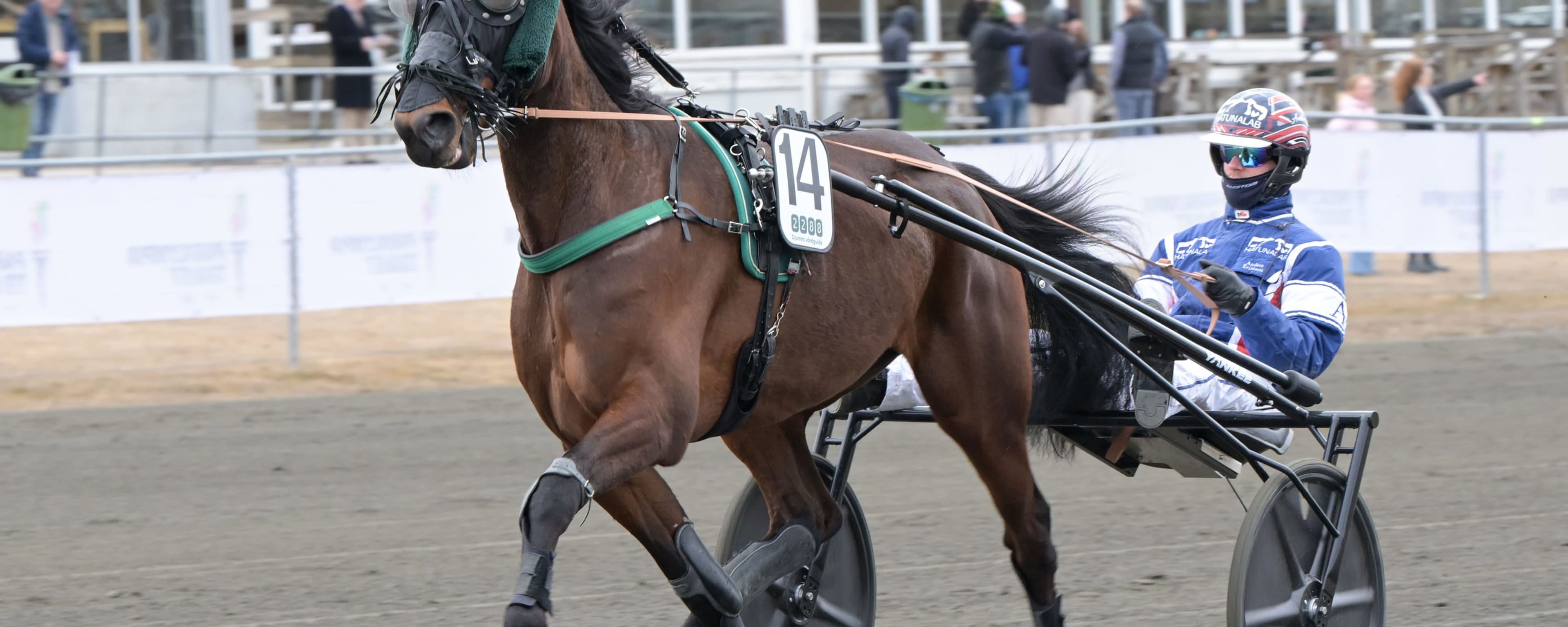 Foto: LARS JAKOBSSON / TR BILD