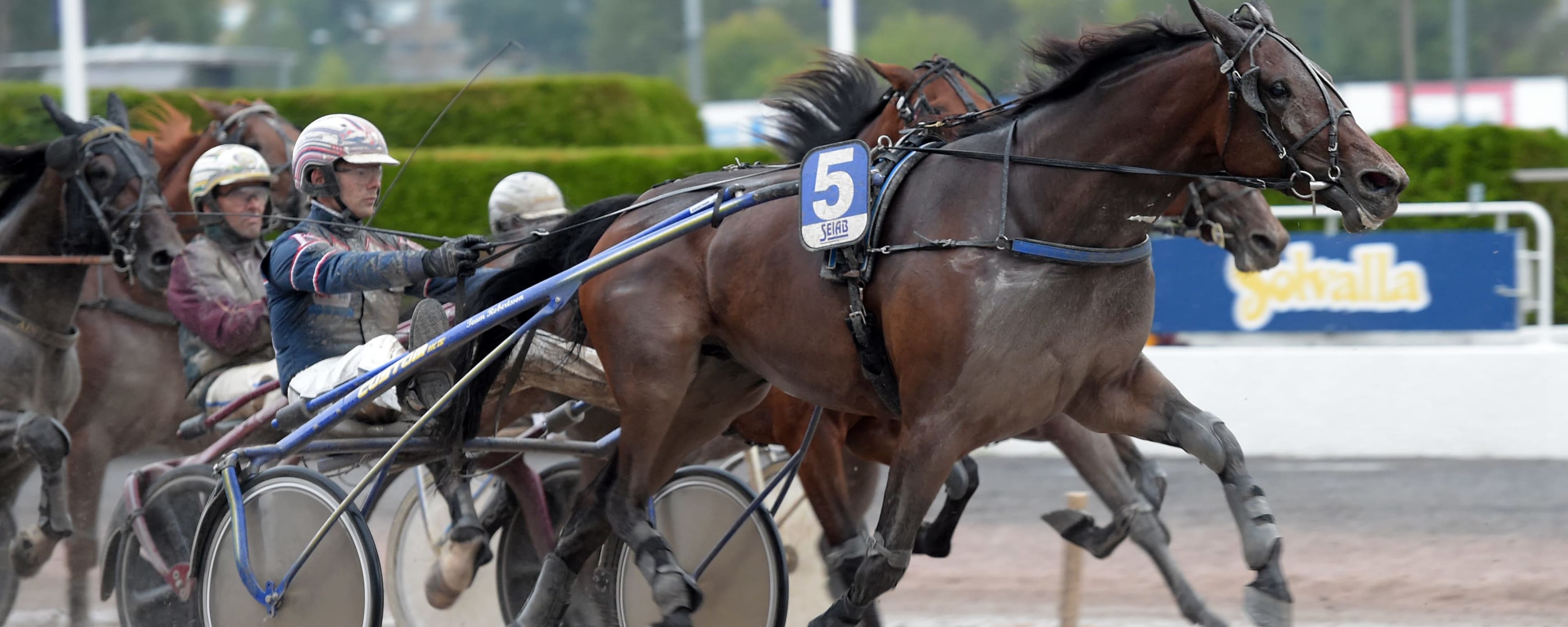 Foto: LARS JAKOBSSON / TR BILD