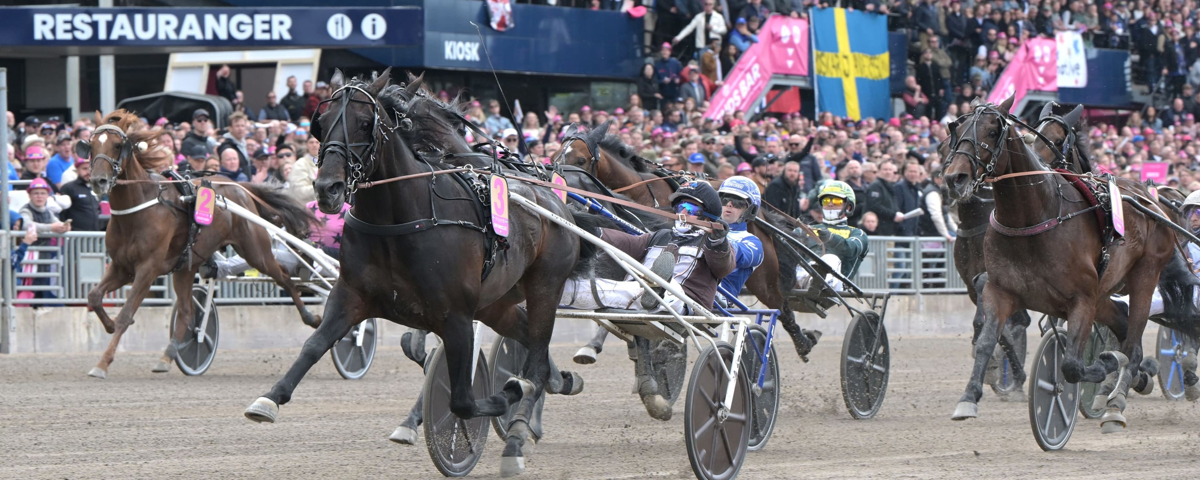 Foto: LARS JAKOBSSON / TR BILD