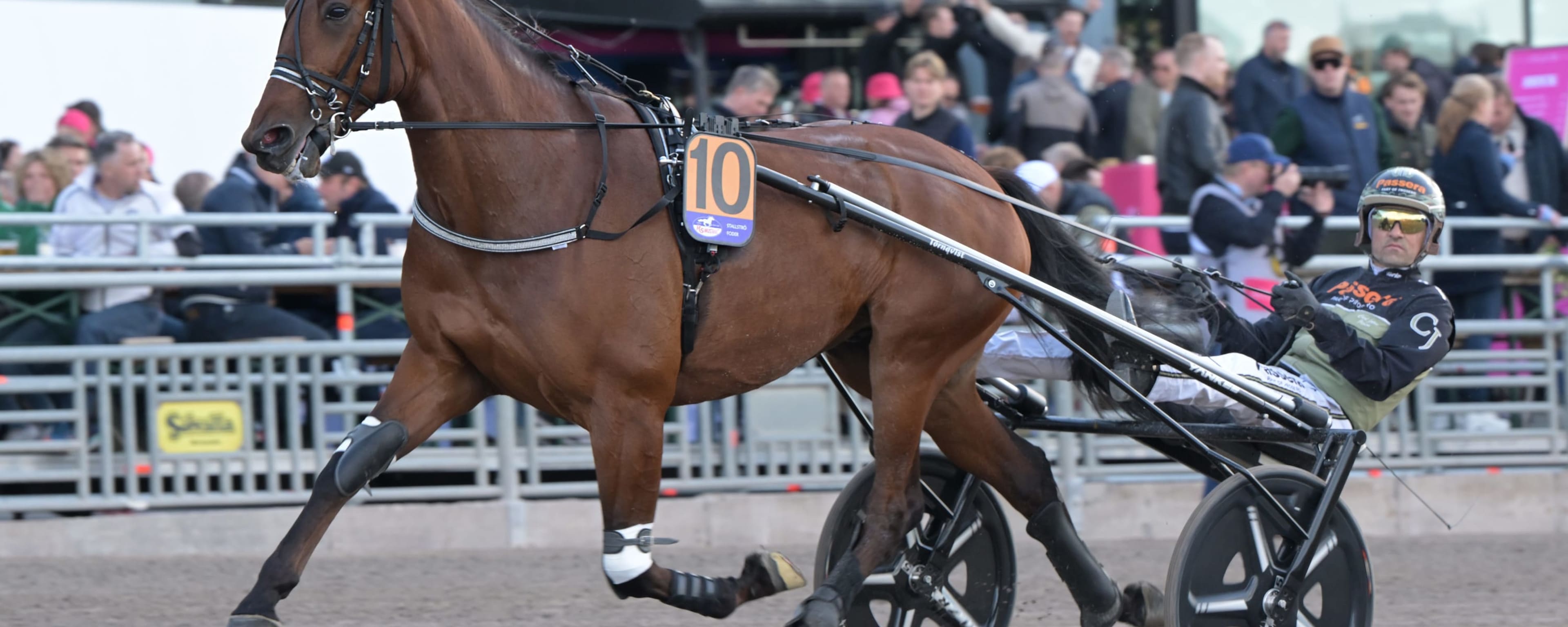 Foto: LARS JAKOBSSON / TR BILD