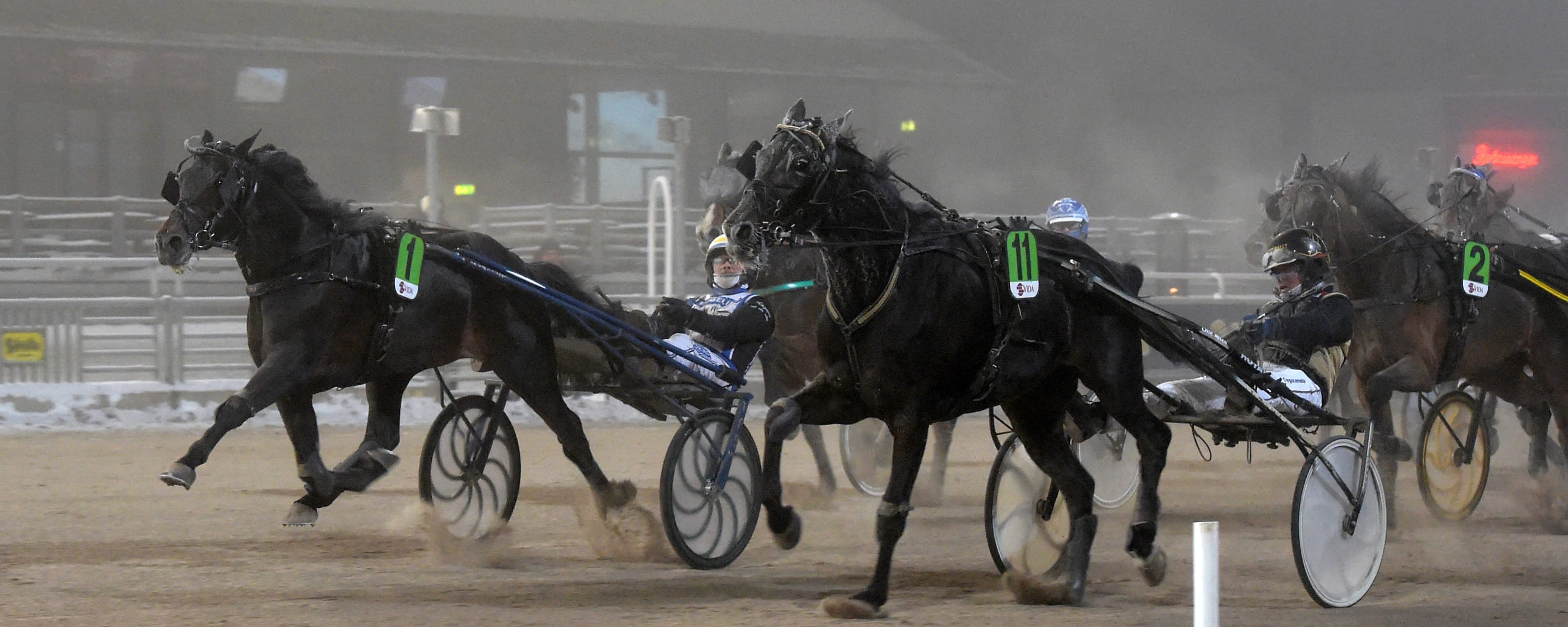 Foto: LARS JAKOBSSON / TR BILD