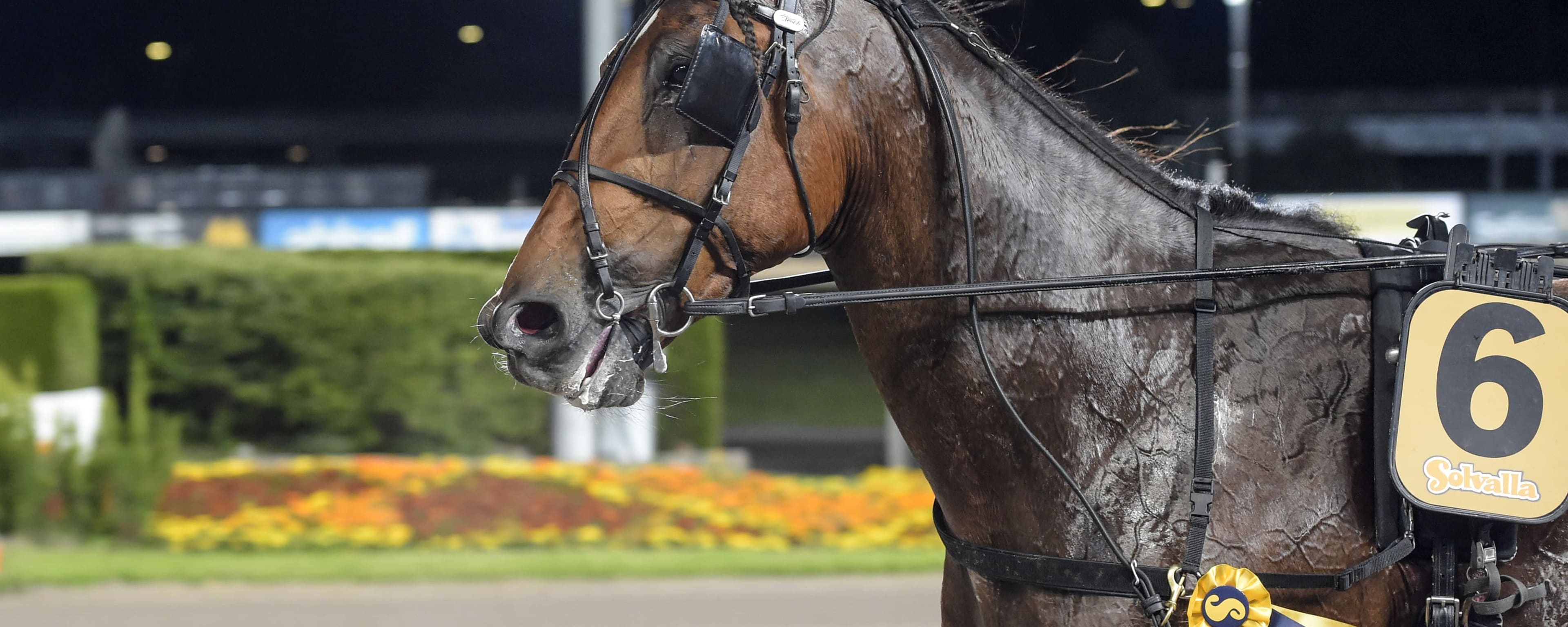 Foto: LARS JAKOBSSON / TR BILD