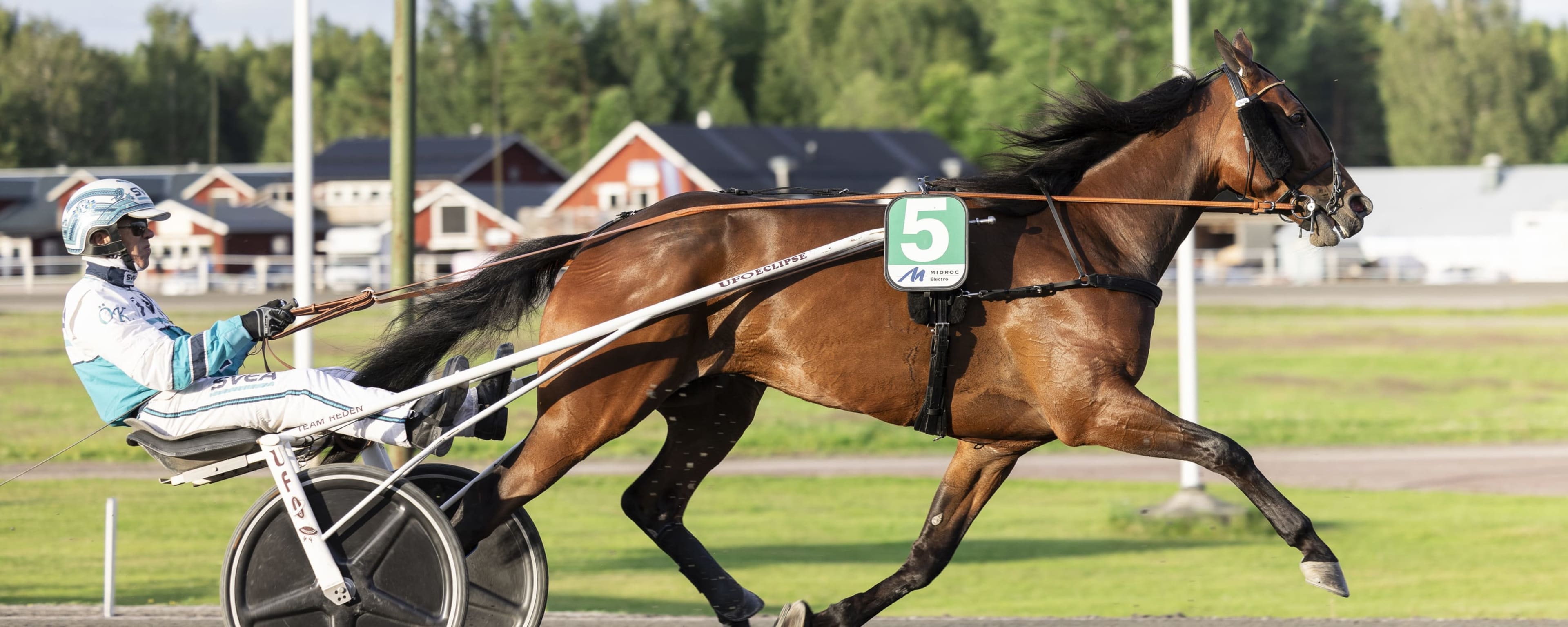 Foto: LENA EMMOTH / TR BILD