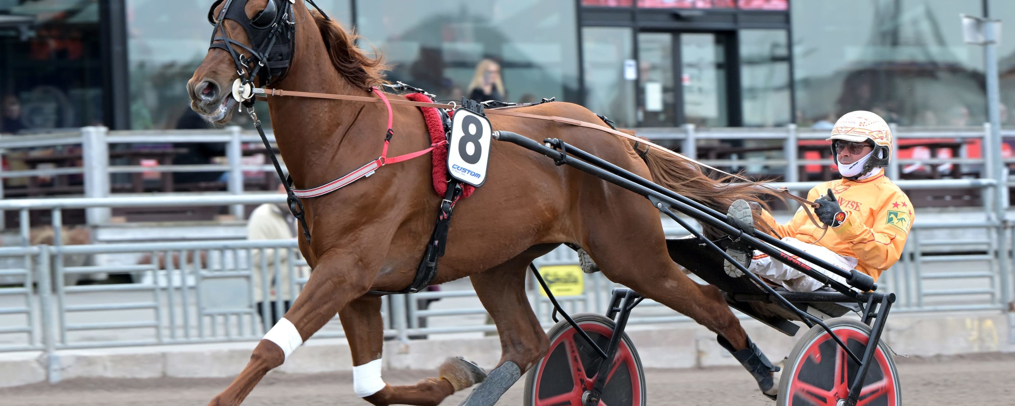 Foto: LARS JAKOBSSON / TR BILD