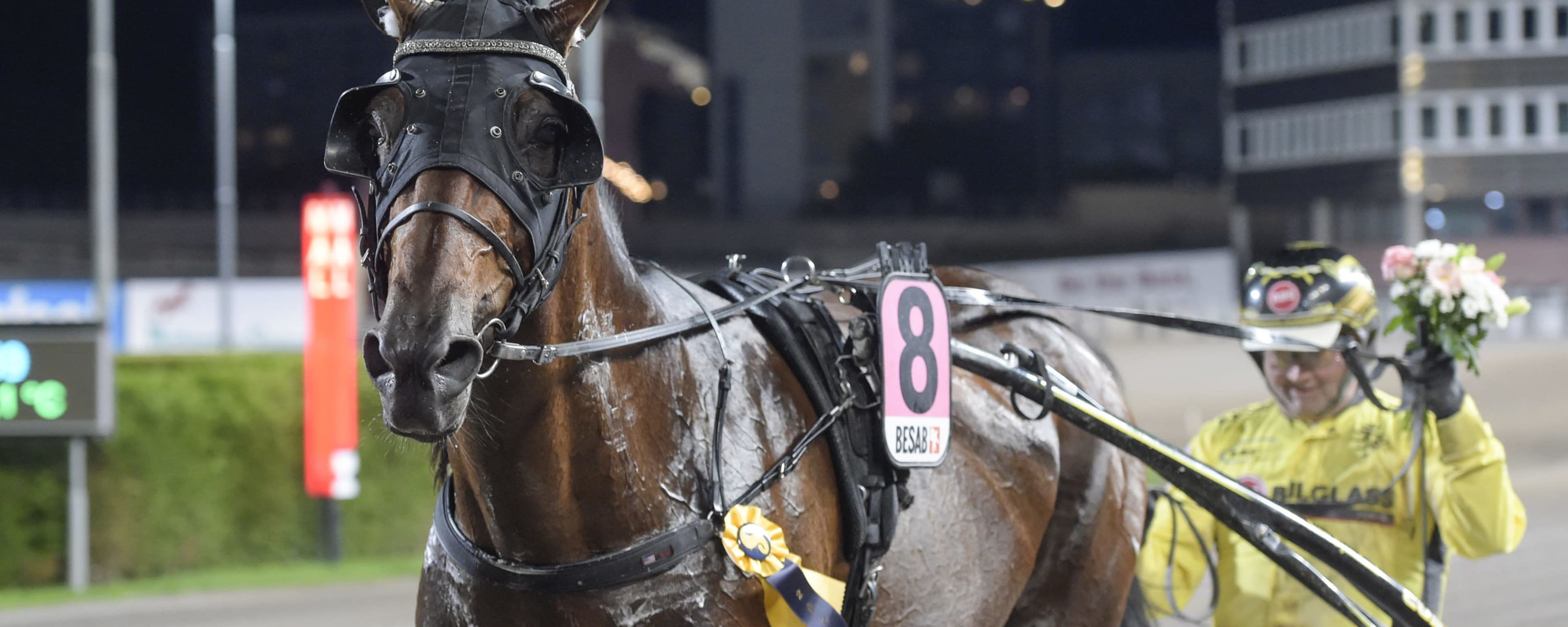 Foto: LARS JAKOBSSON / TR BILD