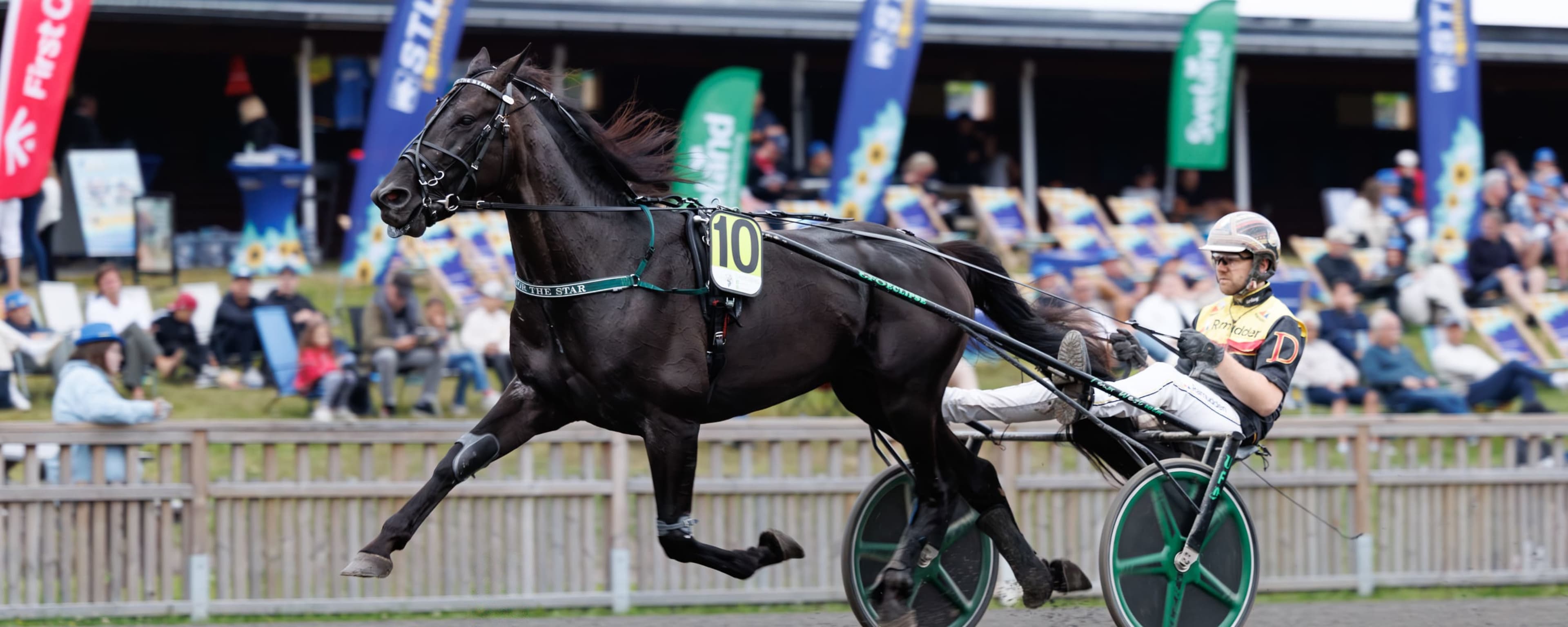 Foto: LENA EMMOTH / TR BILD