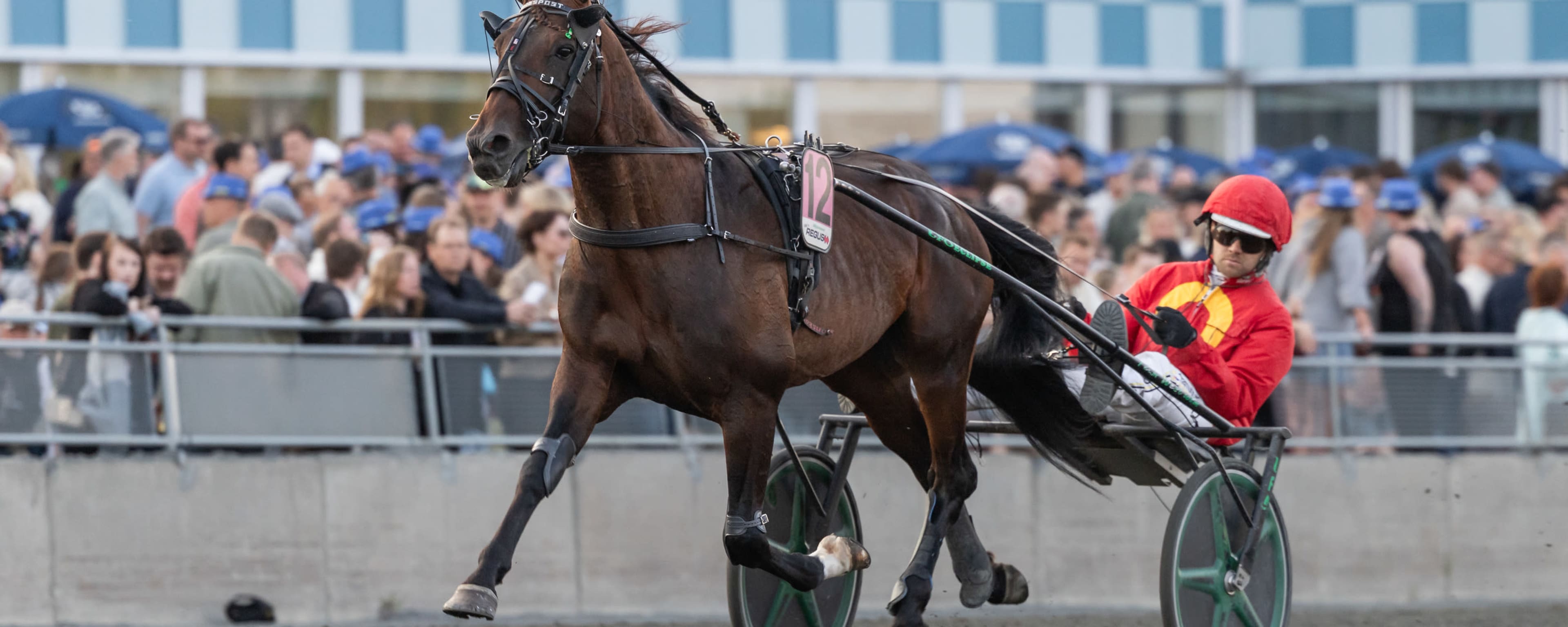 Foto: LENA EMMOTH / TR BILD