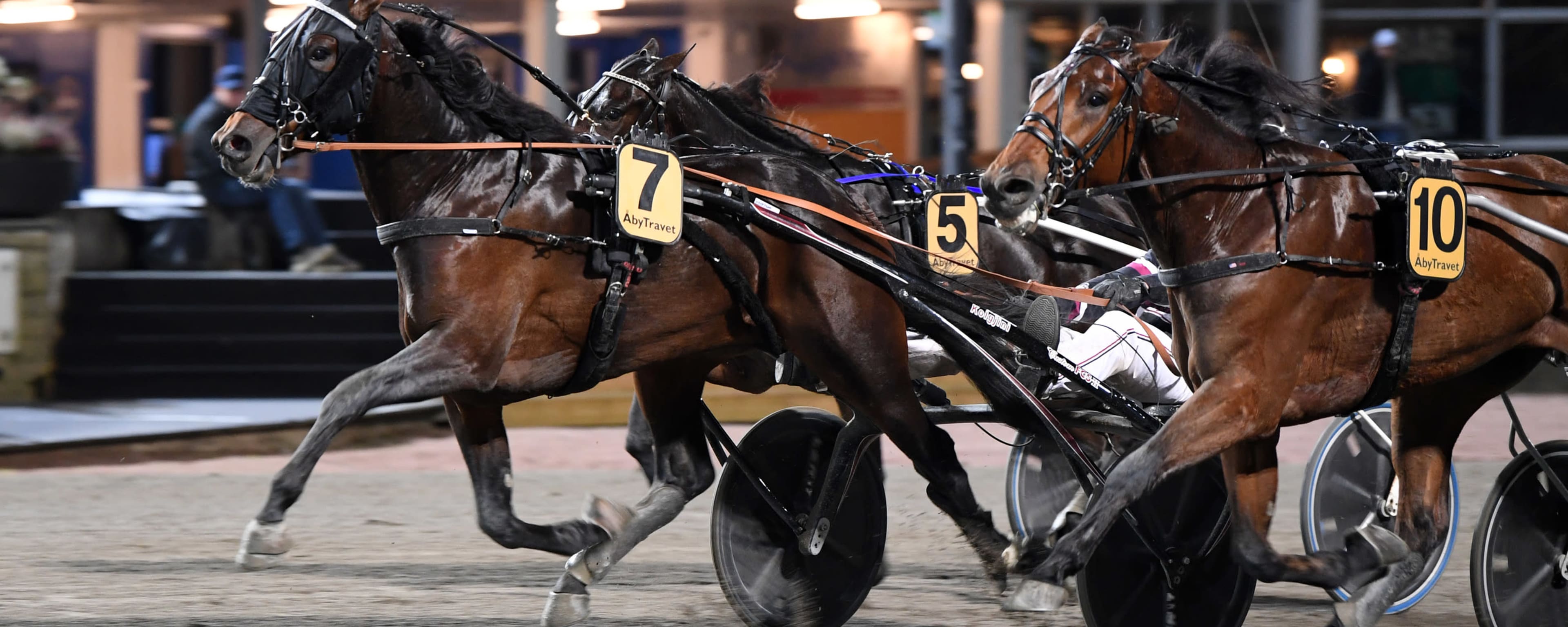 Foto: MALIN ALBINSSON / TR BILD
