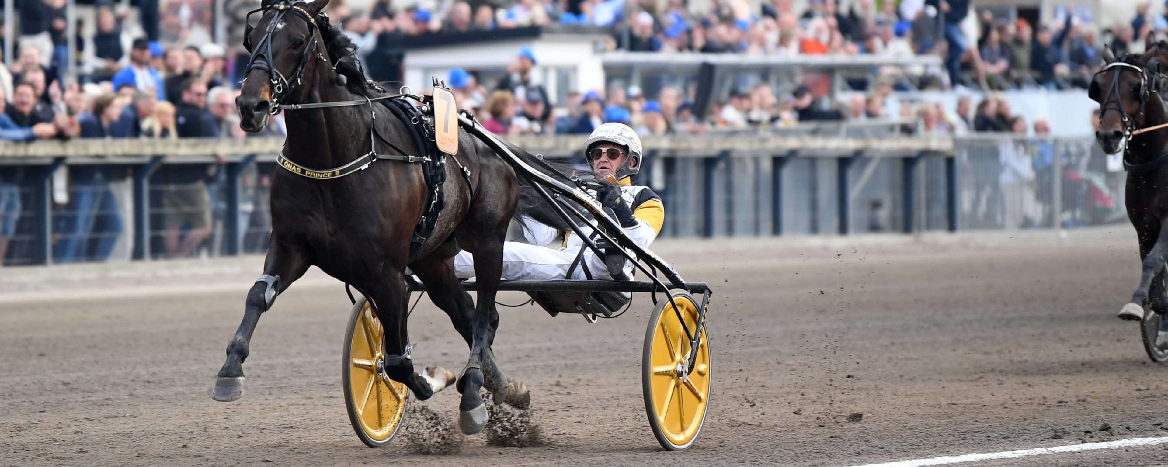 Foto: MALIN ALBINSSON / TR BILD