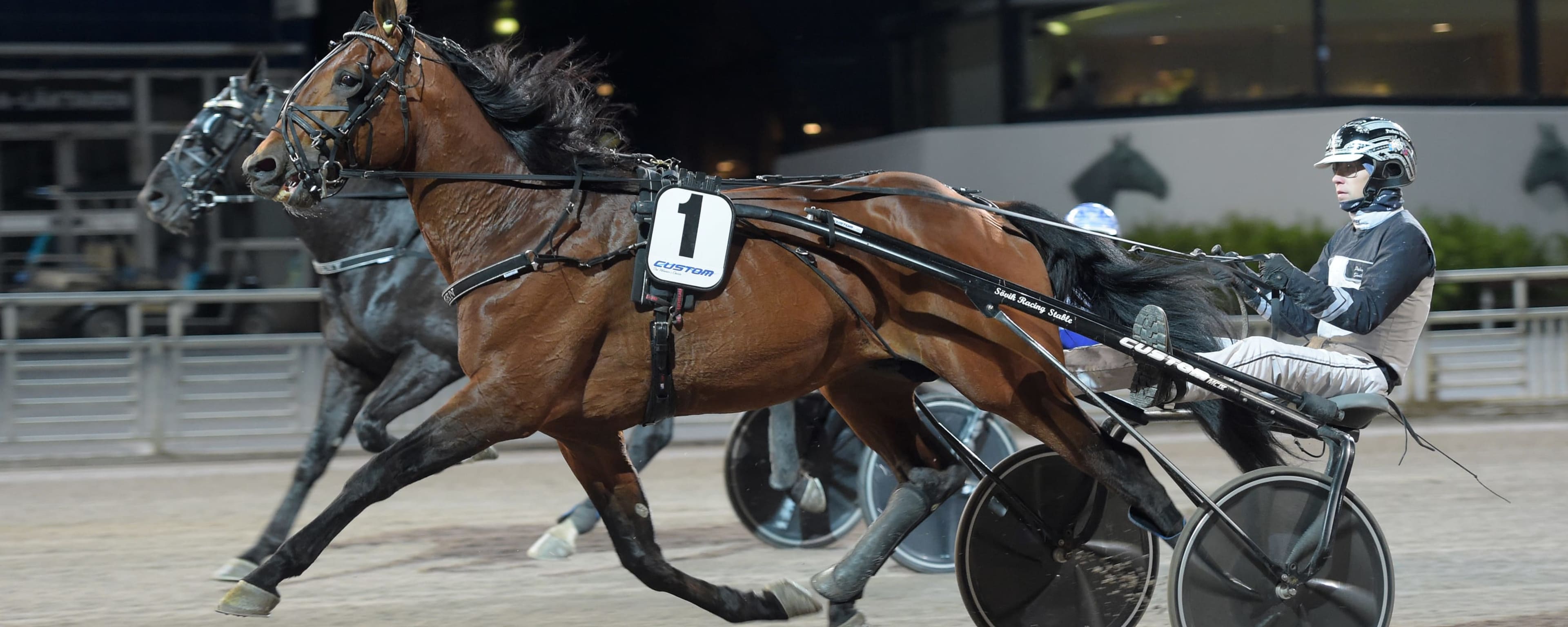 Foto: LARS JAKOBSSON / TR BILD