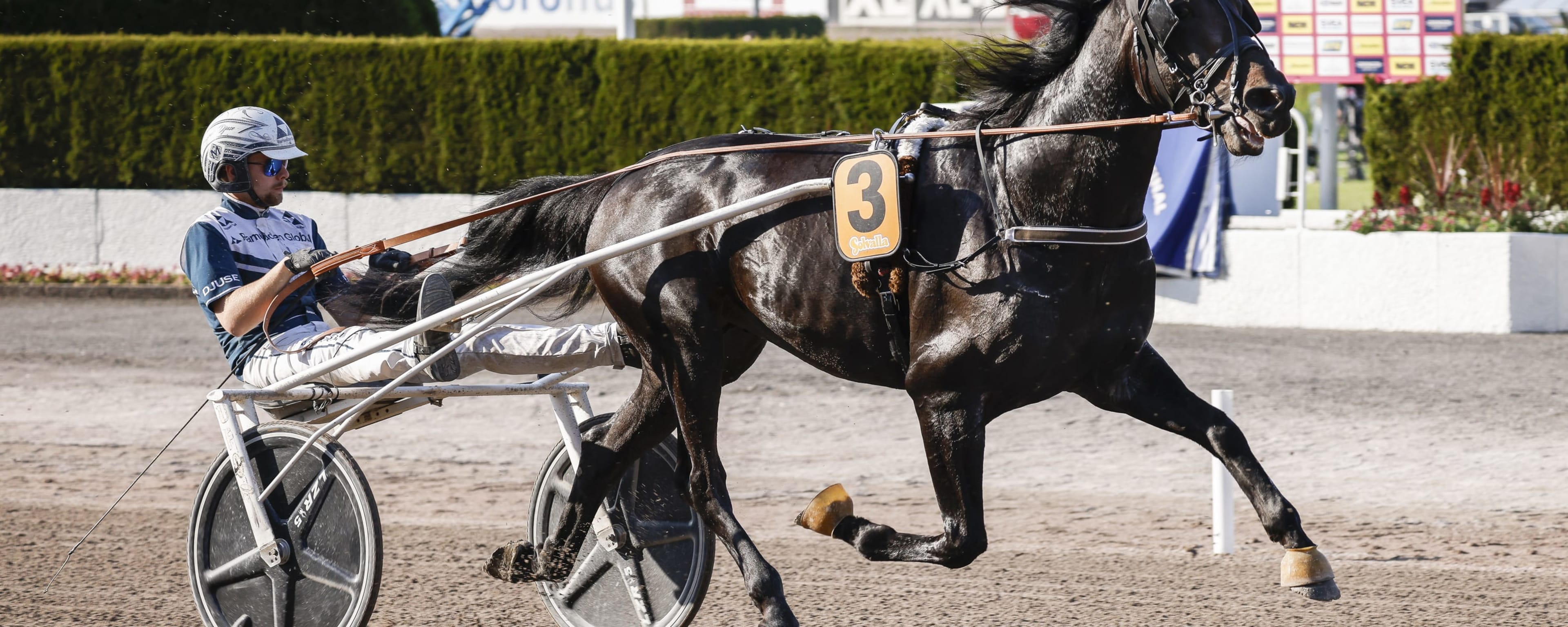 Foto: LENA EMMOTH / TR BILD