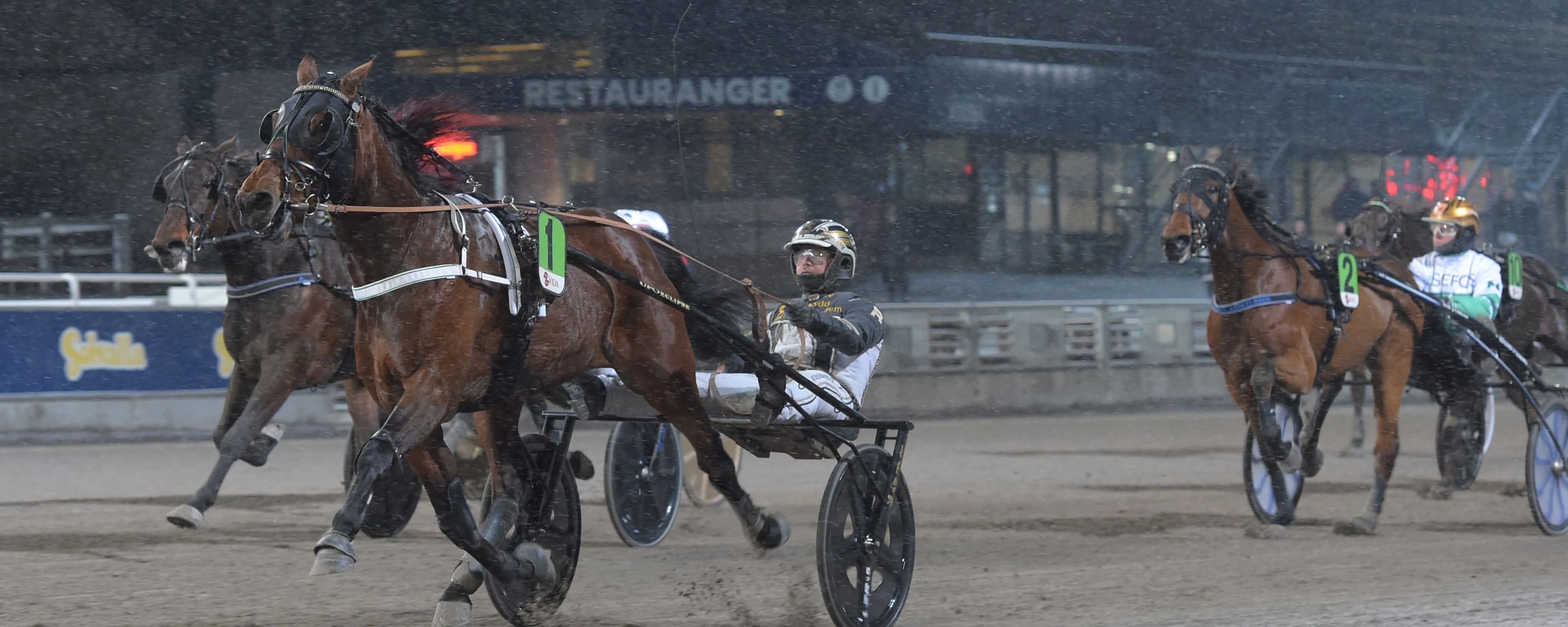 Foto: LARS JAKOBSSON / TR BILD