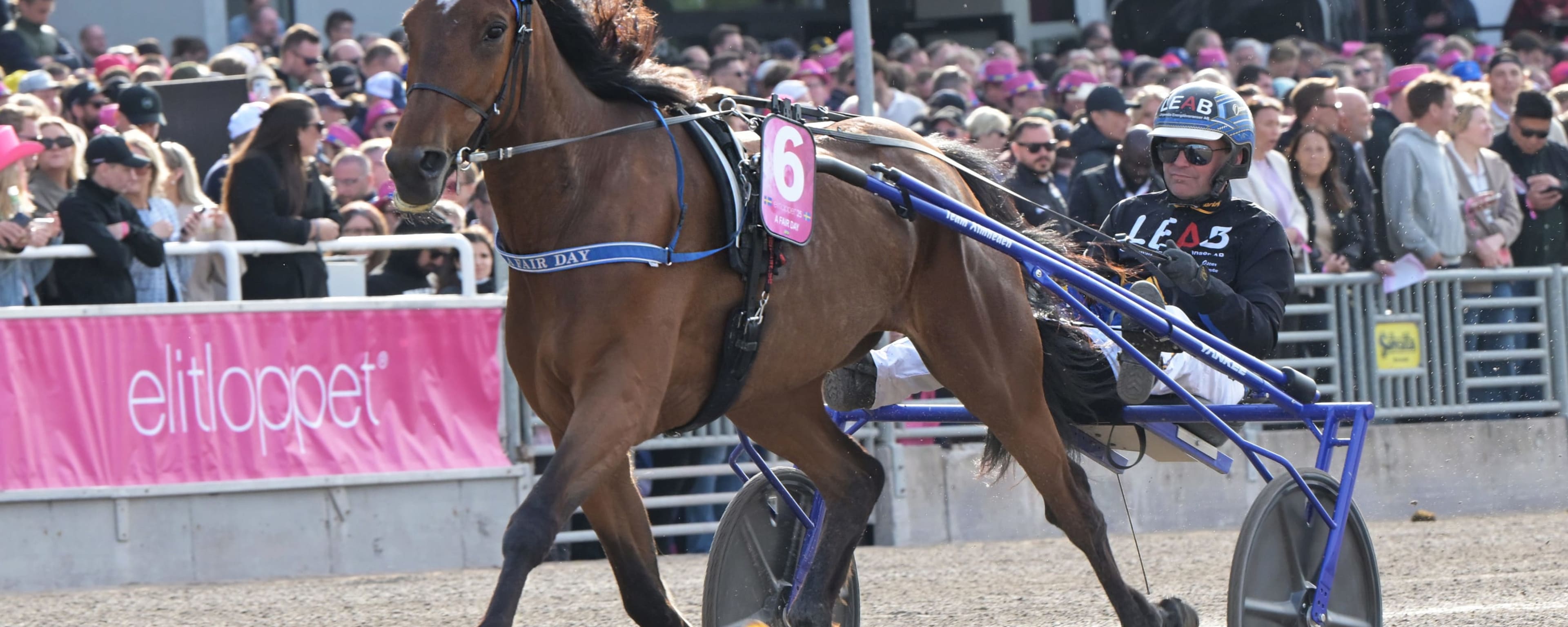 Foto: LARS JAKOBSSON / TR BILD