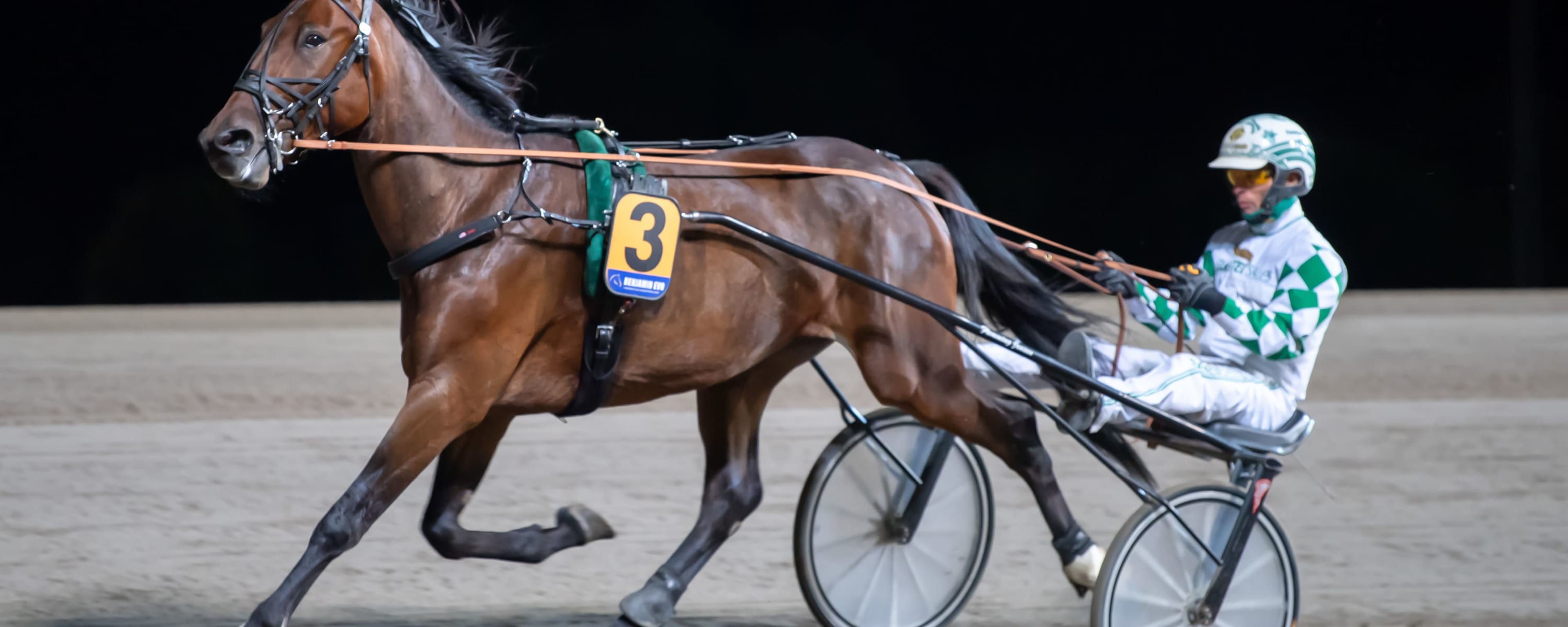 Foto: MIKAEL ROSENQUIST / TR BILD
