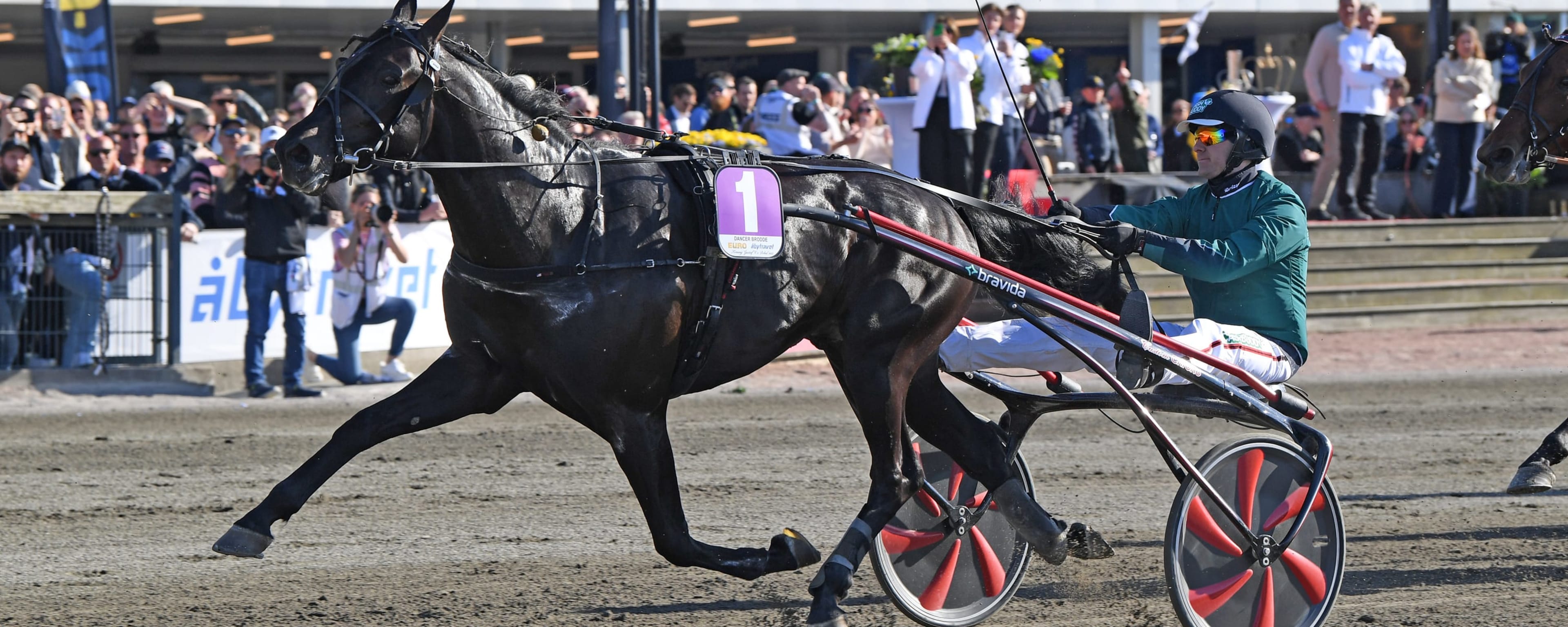 Foto: MALIN ALBINSSON / TR BILD