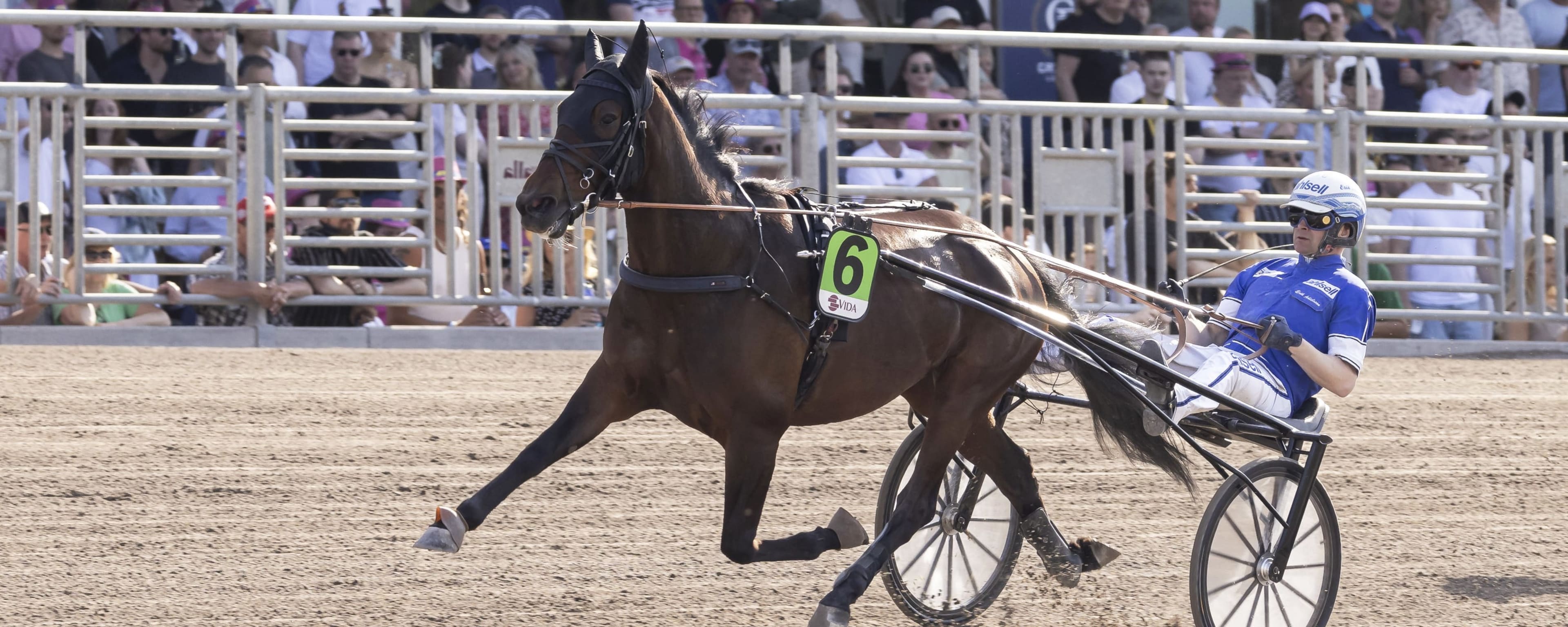 Foto: LENA EMMOTH / TR BILD