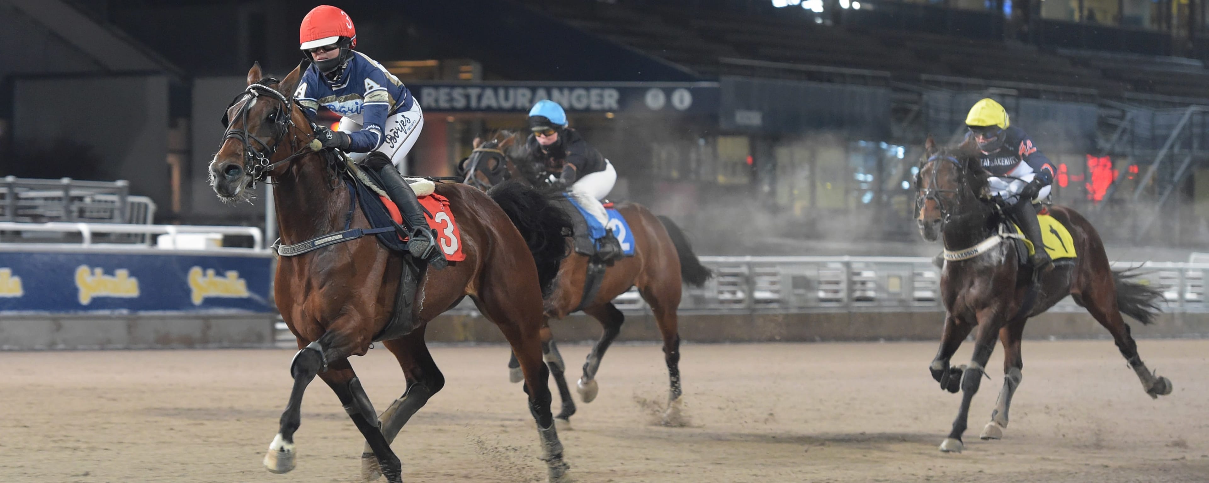 Foto: LARS JAKOBSSON / TR BILD
