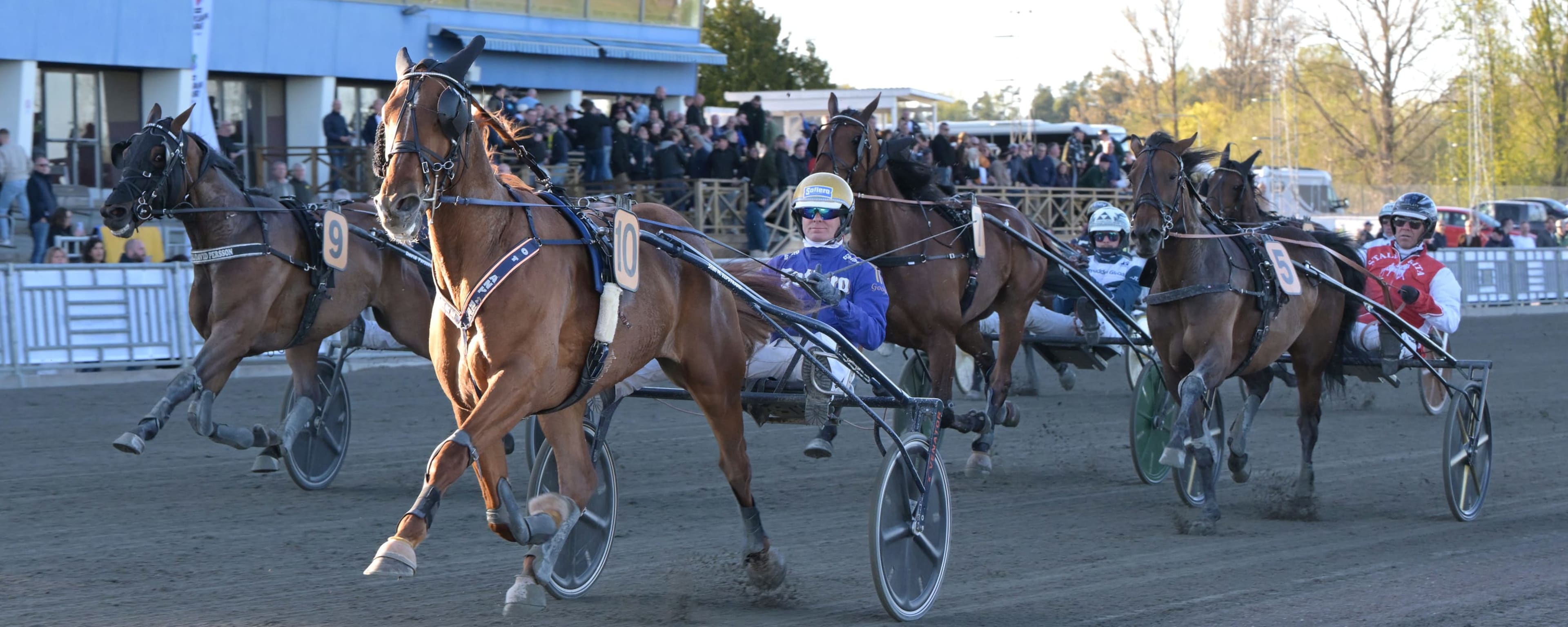 Foto: LARS JAKOBSSON / TR BILD