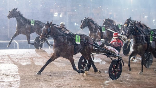 Foto: MIKAEL ROSENQUIST / TR BILD