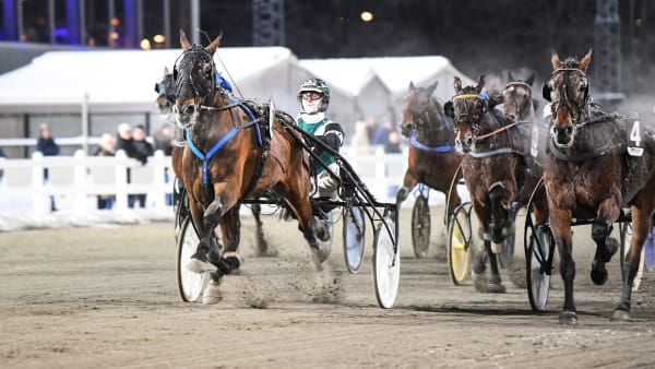 Foto: MALIN ALBINSSON / TR BILD