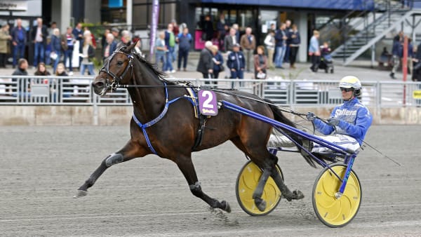 Foto: MARIA HOLMÉN / TR BILD