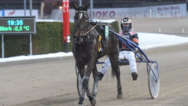 Foto: LARS JAKOBSSON / TR BILD