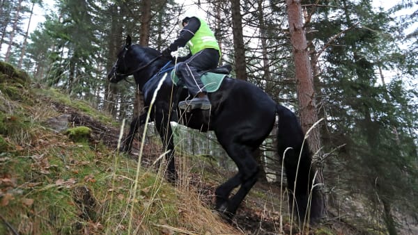 Foto: MARIA HOLMÉN / TR BILD