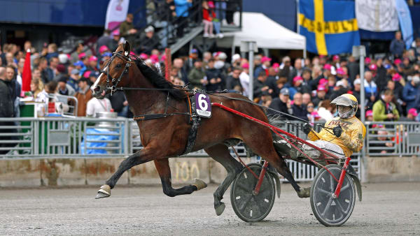 Foto: MARIA HOLMÉN / TR BILD