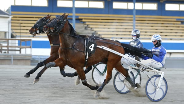 Foto: MARIA HOLMÉN / TR BILD