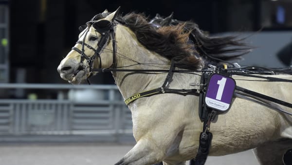 Foto: LARS JAKOBSSON / TR BILD