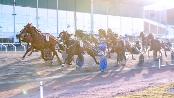 Foto: MIKAEL ROSENQUIST / TR BILD