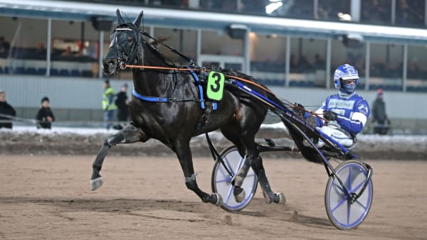 Foto: MARIA HOLMÉN / TR BILD