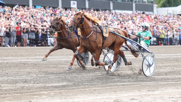 Foto: MAISA HYTTINEN/SUOMEN HIPPOS