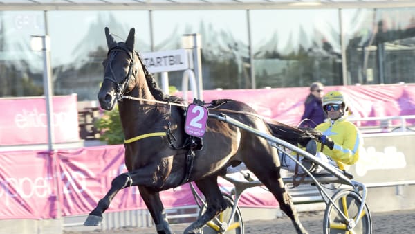 Foto: LARS JAKOBSSON / TR BILD