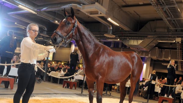 Foto: CLAES KÄRRSTRAND