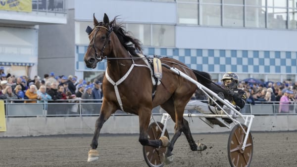 Foto: LENA EMMOTH / TR BILD