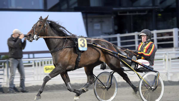 Foto: LARS JAKOBSSON / TR BILD