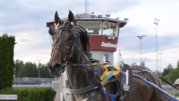 Foto: LARS JAKOBSSON / TR BILD