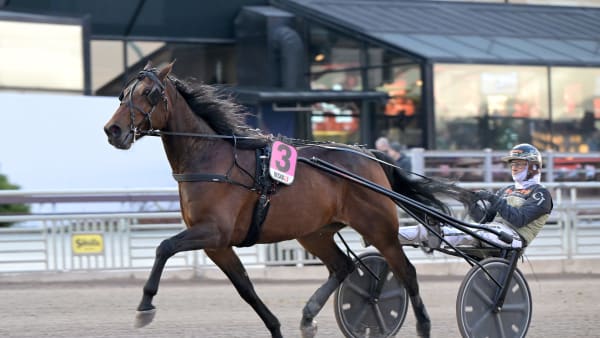 Foto: LARS JAKOBSSON / TR BILD