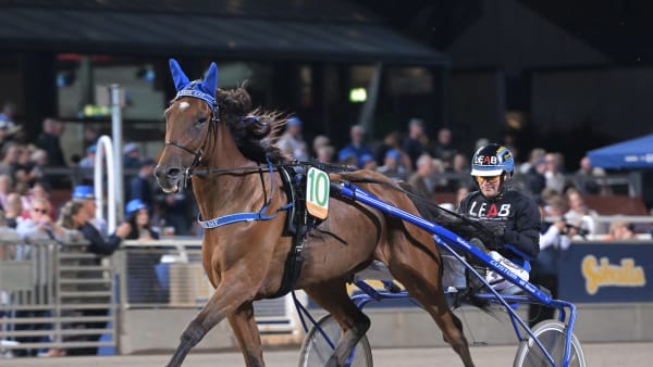 Foto: LARS JAKOBSSON / TR BILD