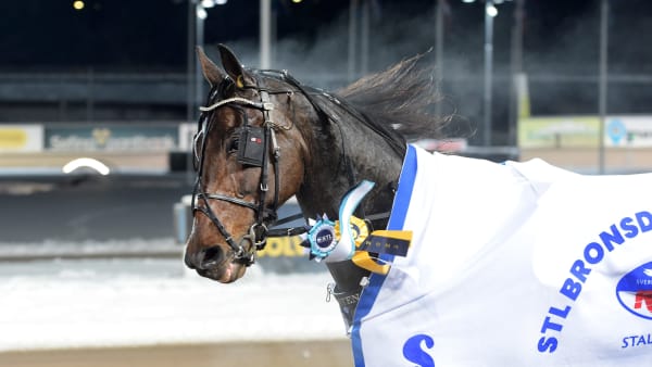 Foto: LARS JAKOBSSON / TR BILD
