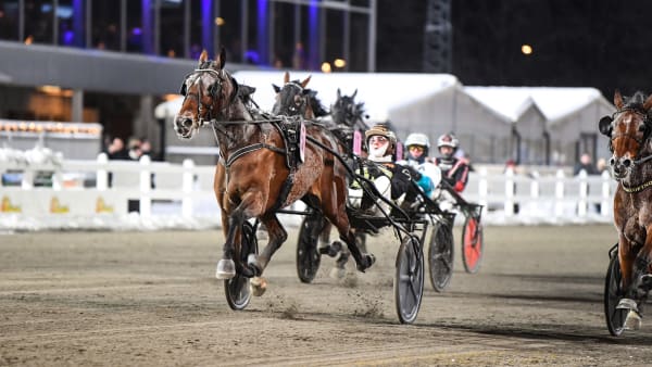 Foto: MALIN ALBINSSON / TR BILD