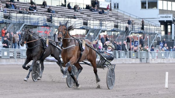 Foto: LARS JAKOBSSON / TR BILD