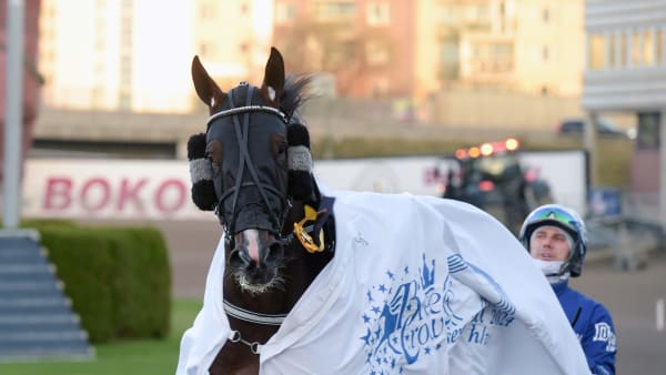Foto: LARS JAKOBSSON / TR BILD