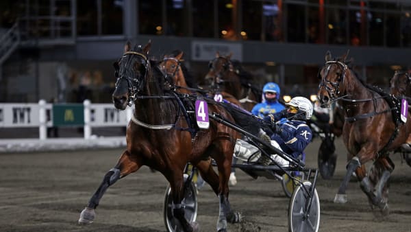 Foto: MATILDA ÖHRMAN / TR BILD