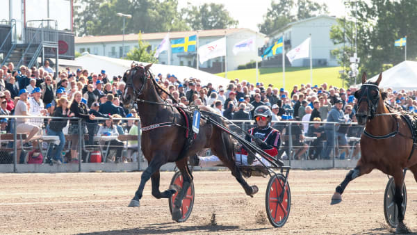 Foto: MIKAEL ROSENQUIST / TR BILD