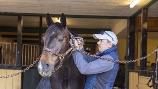 Foto: ROGER SVALSRÖD